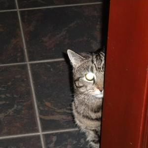 Meet your Posher, Barbara